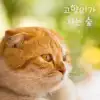 Jeon Su Yeon - Cat Forest - Single